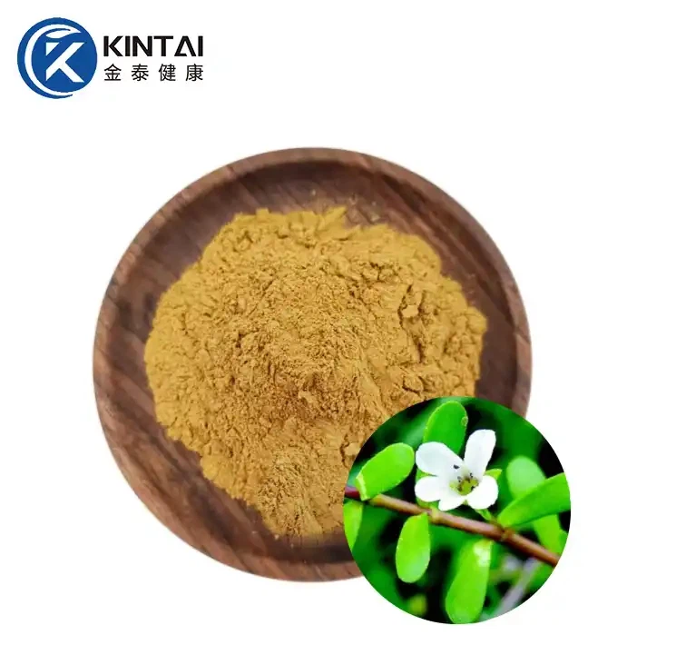 Bacopa Monnieri Extract Bacosides পাউডার