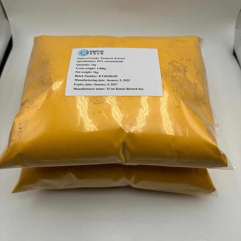 Curcumin Extract Powder factory