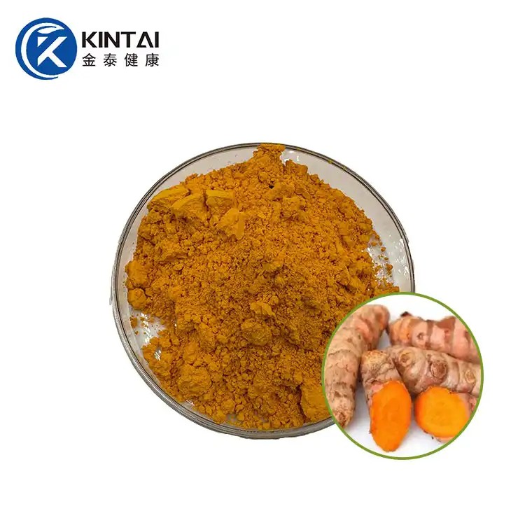 কারকিউমিন এক্সট্র্যাক্ট পাউডার