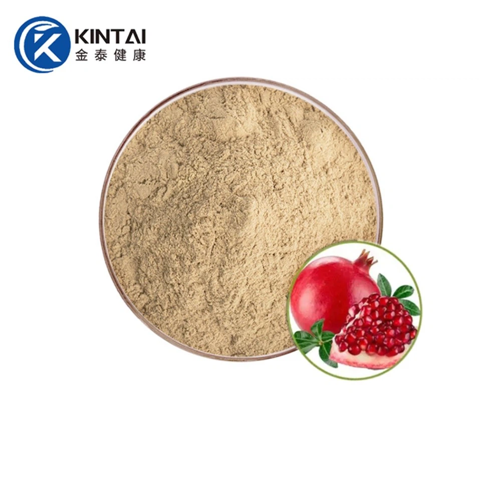 ইলাজিক অ্যাসিড পাউডার