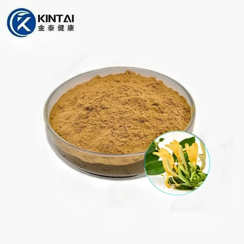 Lonicera Japonica Extract পাউডার